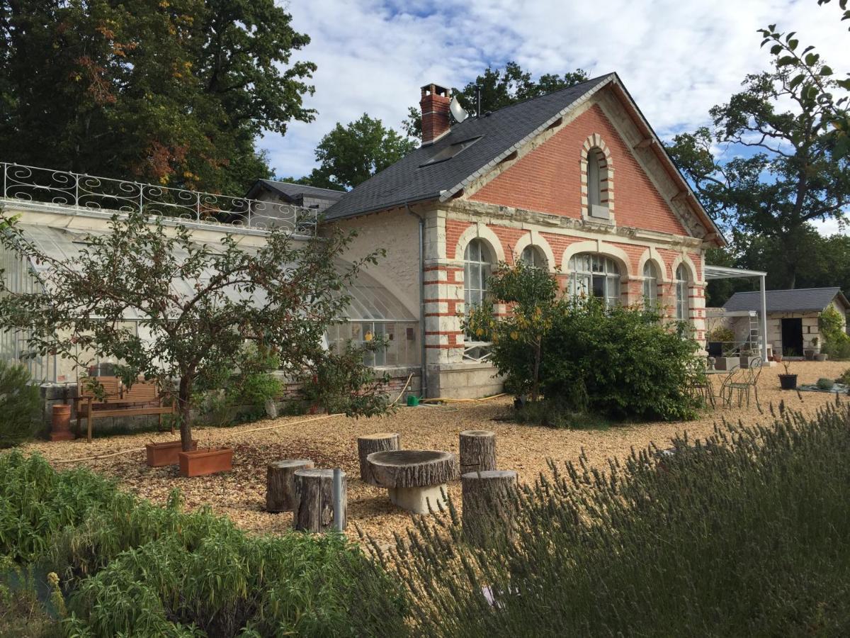 L'Orangerie "The Orangery" Du Parc Des Nouies Villa Сел-сюр-Шер Екстериор снимка